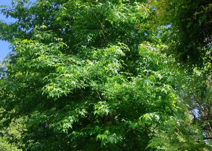 Paraiso Ortegal Ferienhaus Feás